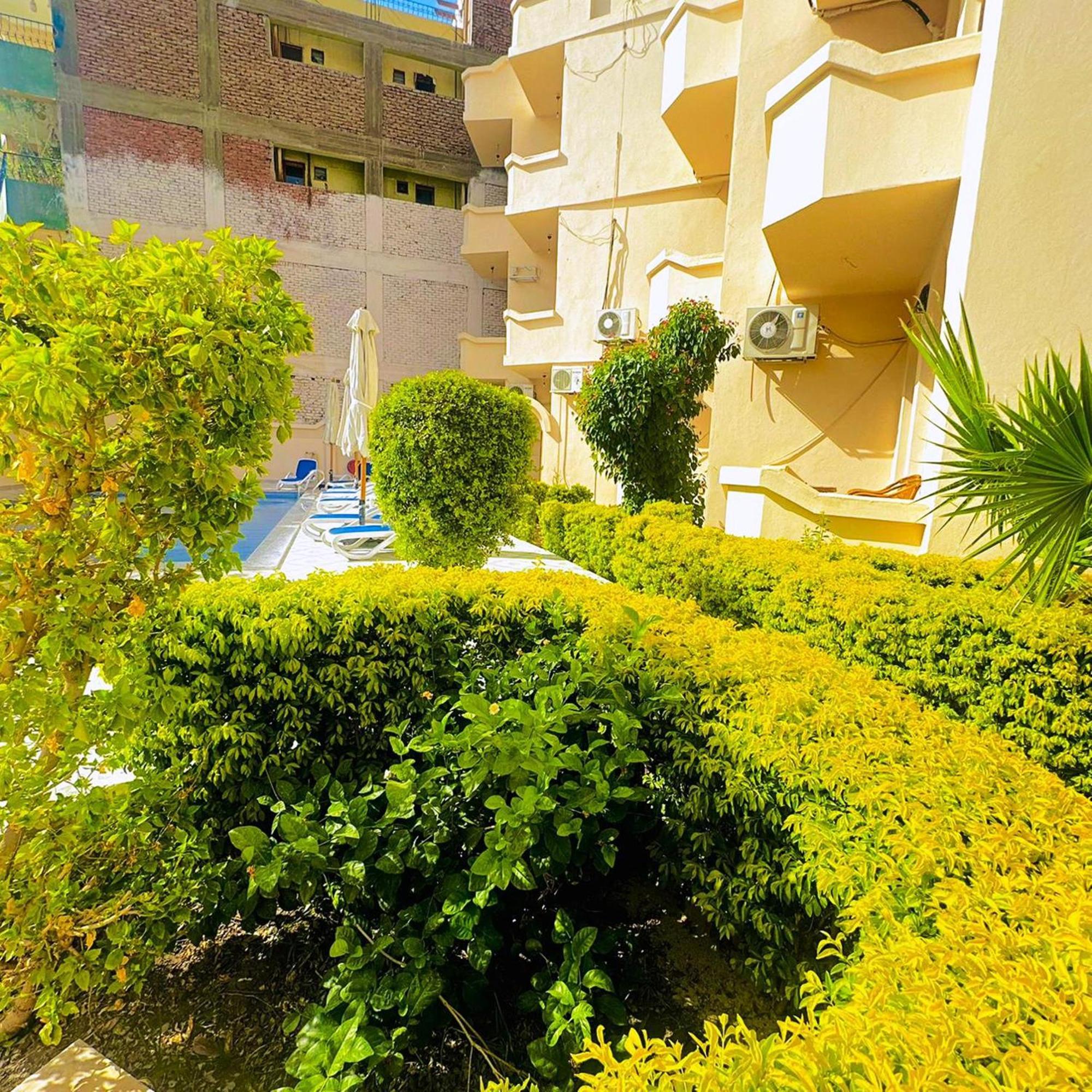 El Nakhil Hotel الأقصر المظهر الخارجي الصورة